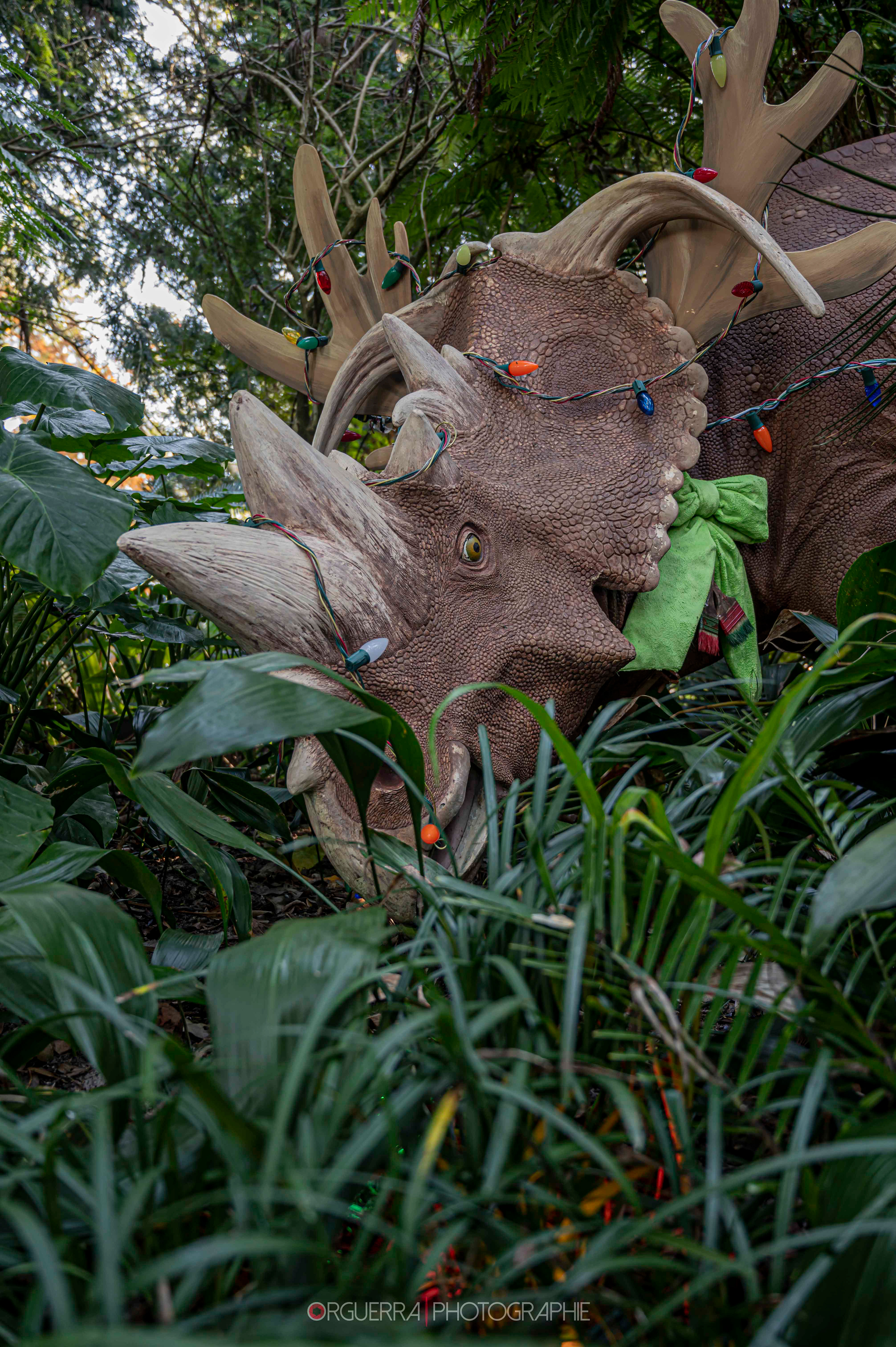 Magic Kingdom | Walt Disney World